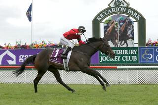 Spectacular gavelhouse.com 1000 Guineas Win for La Diosa (NZ). Photo: Trish Dunell.